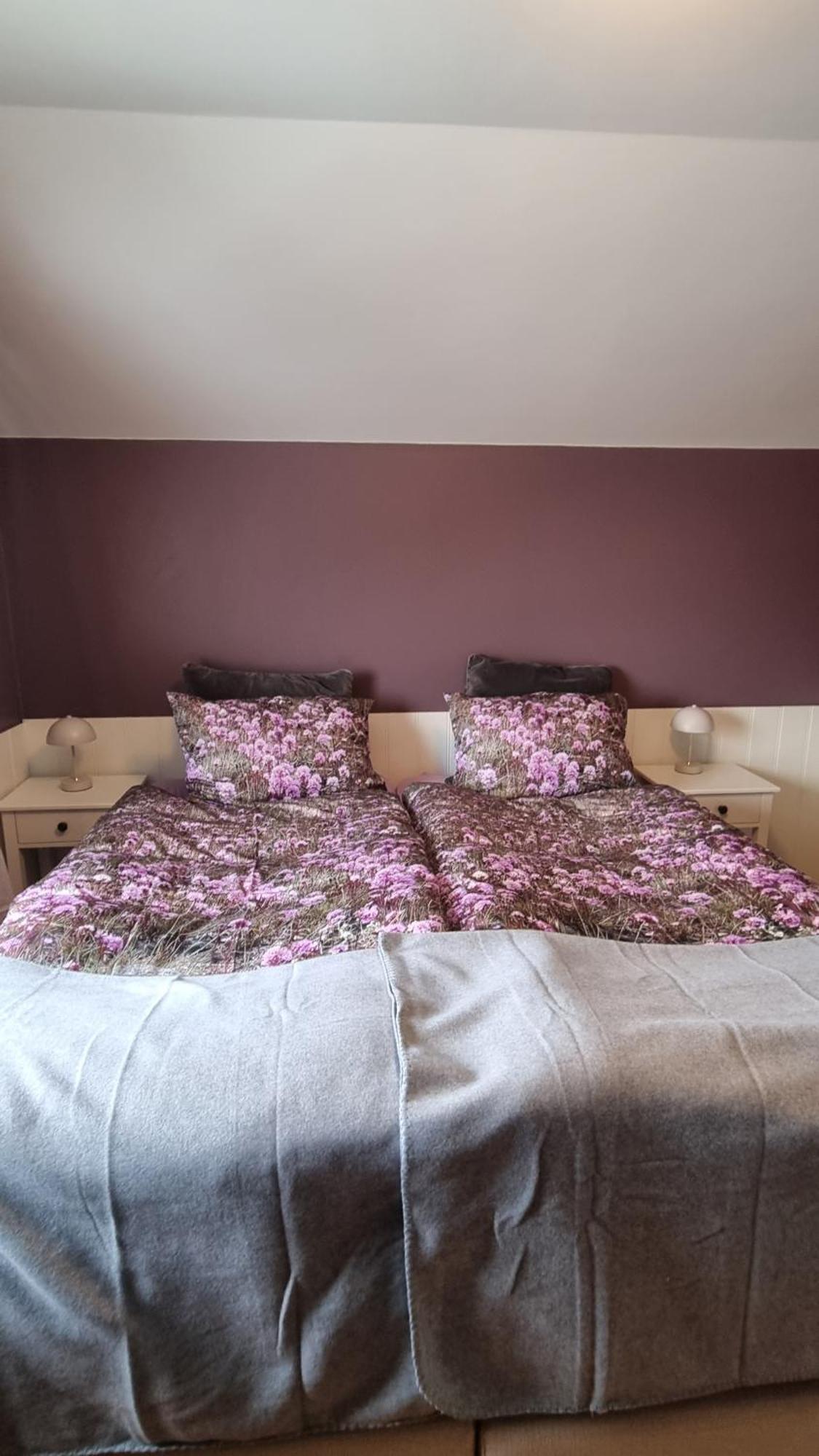 בלונדואוס Fornilaekur Guesthouse מראה חיצוני תמונה