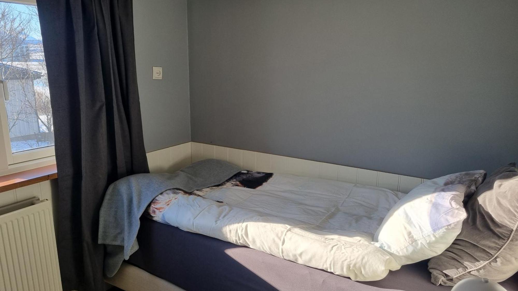 בלונדואוס Fornilaekur Guesthouse מראה חיצוני תמונה